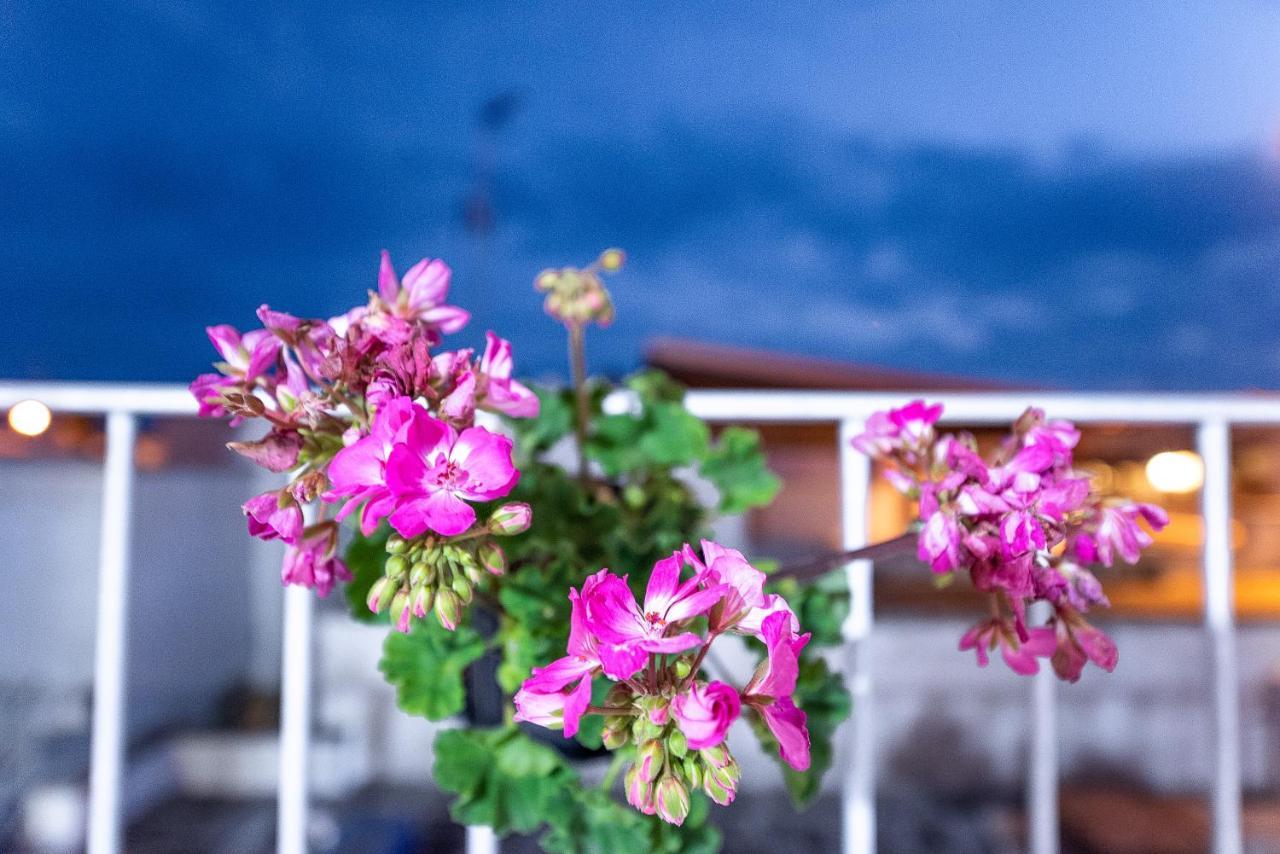 Bed and Breakfast La Scalinata Marina di Mancaversa Exteriér fotografie